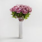 Pack of 12 Mauve Dried Peony Single Mauve (Purple)