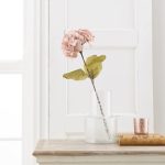 Pack of 12 Pink Dried Hydrangea Dusky Pink