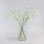 Pack of 12 White Gypsophilia White