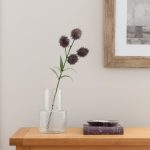 Pack of 12 Lavender Globe Thistle Lavender