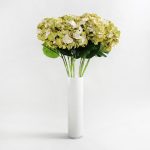 Pack of 12 Hydrangea Stem Green