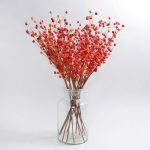 Pack of 12 Berry Spray Red