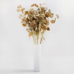 Pack of 12 Gold Honesty Spray Gold