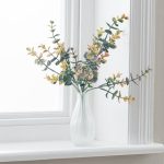Pack of 12 Eucalyptus Bush Grey