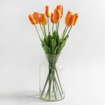 Pack of 12 Orange Tulip Stems Orange
