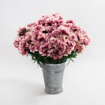 Pack of 12 Plum Carnation Bush Plum