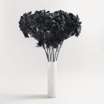 Pack of 12 Giant Black Dahlias Black