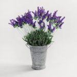 Pack of 12 Lavender Bush Purple