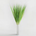 Pack of 24 Onion Grass Green