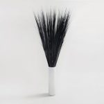 Pack of 24 Black onion Grass Cream