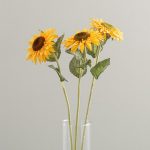 Pack of 12 Van Gogh Sunflowers Yellow