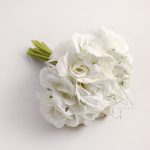 Pack of 6 Cream Rose Bouquets Cream