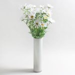 Pack of 12 Daisy Spray Cream