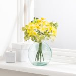 Pack of 6 Yellow Primula Narcissus Bundl Yellow