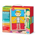 My Body Systems MultiColoured