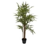 Bamboo Tree Green