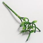 Set of 3 Bamboo Sticks Green