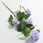 Snowball Lilac Spray Lilac