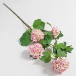 Snowball Pink Spray Pink