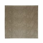 Set of 4 Champagne Snake Print Placemats Champagne