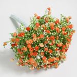 30cm Million Star Gypsophila Orange Bundle Orange