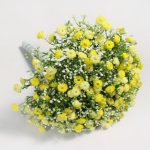 30cm Million Star Gypsophila Yellow Bundle Yellow
